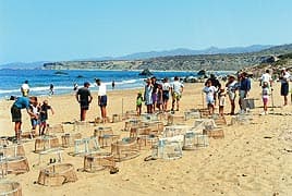 Akamas Jeep Safari