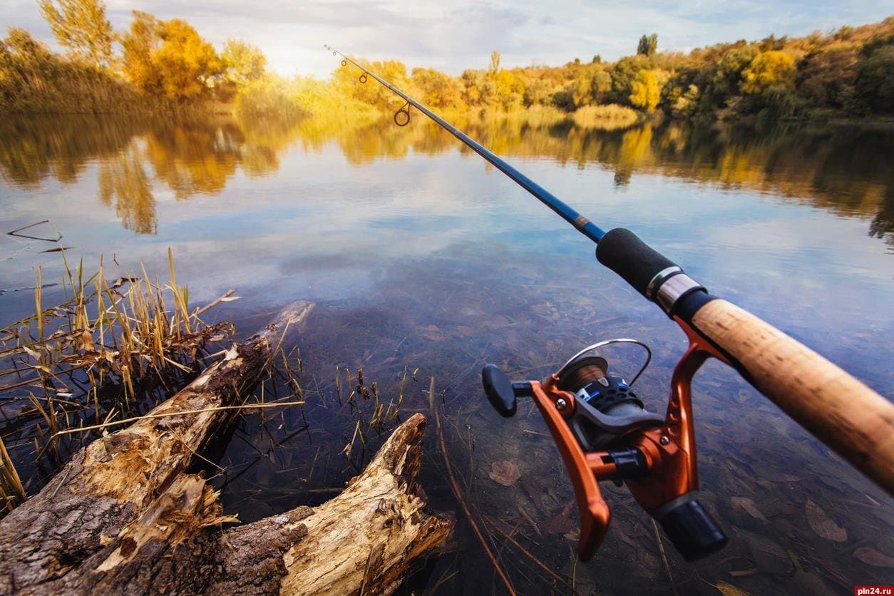 Dam Fishing