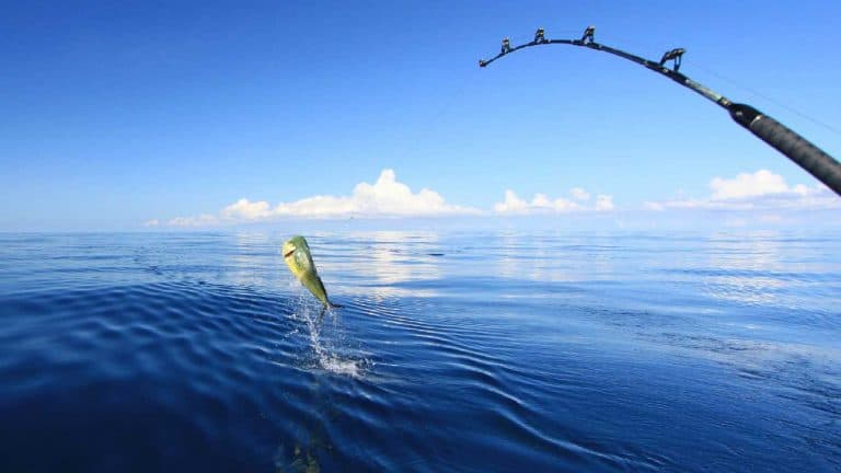 Sea Fishing — Larnaca