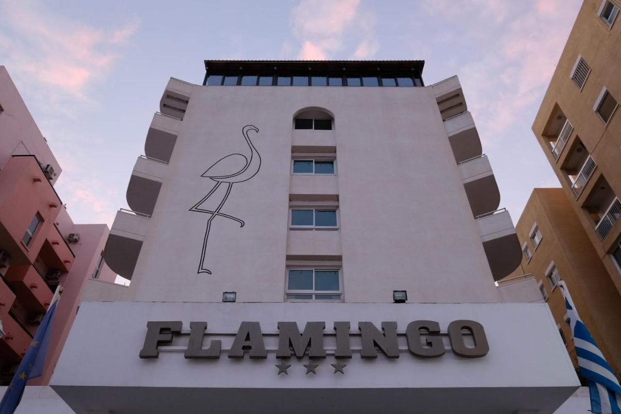 Flamingo